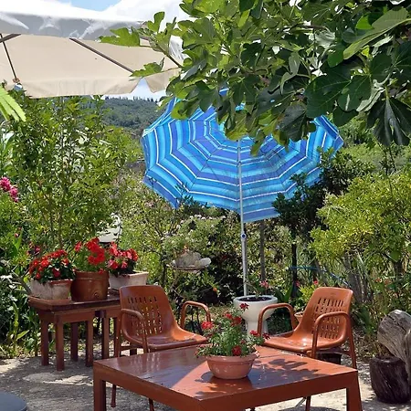Apartment Feeloxenia Corfu *